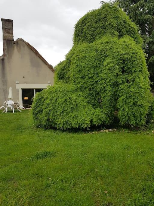 Chaumiere Avec Sa Toiture Recouverte De Chaume !!! Donnemain-Saint-Mames Eksteriør bilde