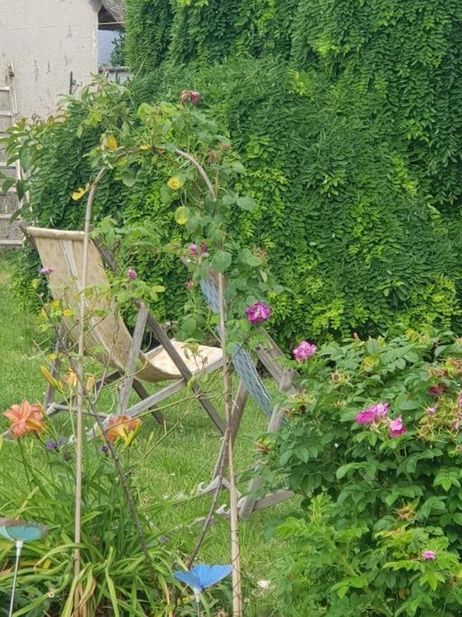 Chaumiere Avec Sa Toiture Recouverte De Chaume !!! Donnemain-Saint-Mames Eksteriør bilde